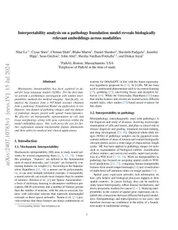 Interpretability analysis on a pathology foundation model reveals
  biologically relevant embeddings across modalities