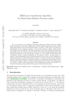 ERM-Lasso classification algorithm for Multivariate Hawkes Processes
  paths