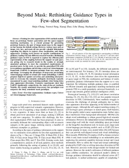Beyond Mask: Rethinking Guidance Types in Few-shot Segmentation