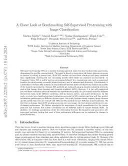 A Closer Look at Benchmarking Self-Supervised Pre-training with Image
  Classification