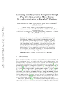Enhancing Facial Expression Recognition through Dual-Direction Attention
  Mixed Feature Networks: Application to 7th ABAW Challenge