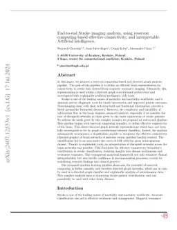 End-to-end Stroke imaging analysis, using reservoir computing-based
  effective connectivity, and interpretable Artificial intelligence