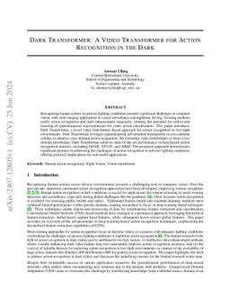 Dark Transformer: A Video Transformer for Action Recognition in the Dark