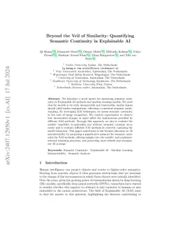 Beyond the Veil of Similarity: Quantifying Semantic Continuity in Explainable AI