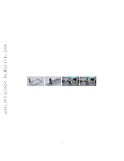 NAS: N-step computation of All Solutions to the footstep planning
  problem