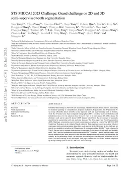STS MICCAI 2023 Challenge: Grand challenge on 2D and 3D semi-supervised
  tooth segmentation