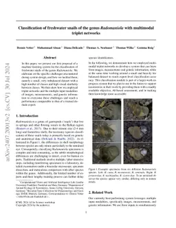 Classification of freshwater snails of the genus Radomaniola with
  multimodal triplet networks