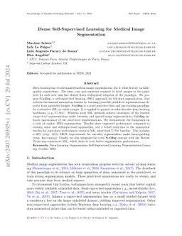 Dense Self-Supervised Learning for Medical Image Segmentation
