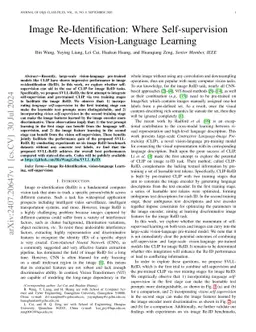Image Re-Identification: Where Self-supervision Meets Vision-Language
  Learning