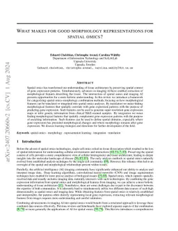 What makes for good morphology representations for spatial omics?