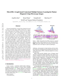 MicroMIL: Graph-Based Multiple Instance Learning for Context-Aware Diagnosis with Microscopic Images