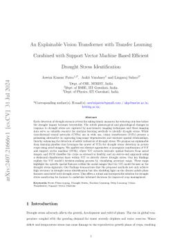 An explainable vision transformer with transfer learning based efficient drought stress identification