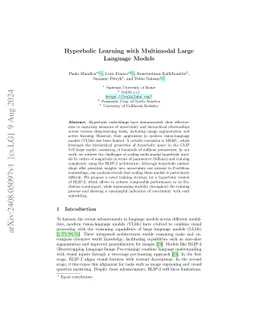 Hyperbolic Learning with Multimodal Large Language Models