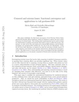 Censored and extreme losses: functional convergence and applications to
  tail goodness-of-fit