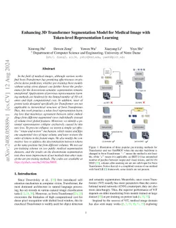 Enhancing 3D Transformer Segmentation Model for Medical Image with
  Token-level Representation Learning