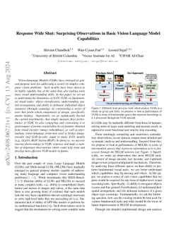 Response Wide Shut: Surprising Observations in Basic Vision Language
  Model Capabilities