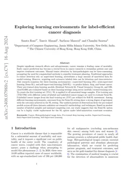 Exploring learning environments for label\-efficient cancer diagnosis
