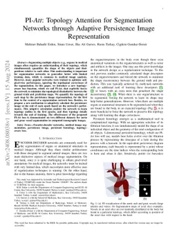 PI-Att: Topology Attention for Segmentation Networks through Adaptive
  Persistence Image Representation