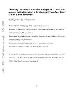 Decoding the human brain tissue response to radiofrequency excitation
  using a biophysical-model-free deep MRI on a chip framework