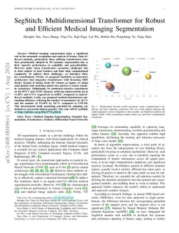 SegStitch: Multidimensional Transformer for Robust and Efficient Medical
  Imaging Segmentation