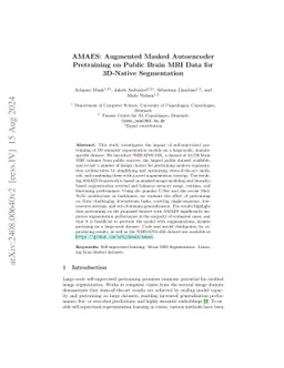 AMAES: Augmented Masked Autoencoder Pretraining on Public Brain MRI Data
  for 3D-Native Segmentation