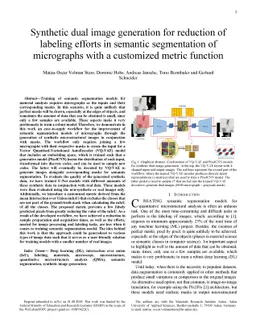 Synthetic dual image generation for reduction of labeling efforts in
  semantic segmentation of micrographs with a customized metric function