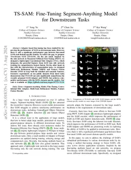TS-SAM: Fine-Tuning Segment-Anything Model for Downstream Tasks