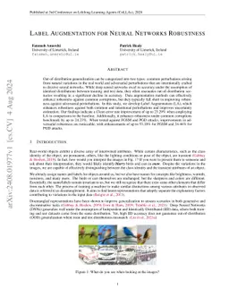 Label Augmentation for Neural Networks Robustness