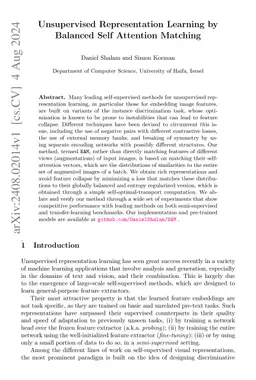 Unsupervised Representation Learning by Balanced Self Attention Matching