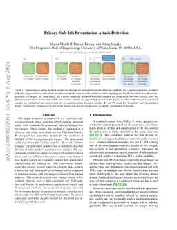 Privacy-Safe Iris Presentation Attack Detection