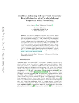 NimbleD: Enhancing Self-supervised Monocular Depth Estimation with
  Pseudo-labels and Large-scale Video Pre-training