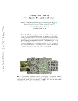 Mining Field Data for Tree Species Recognition at Scale