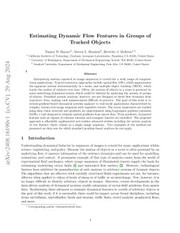 Estimating Dynamic Flow Features in Groups of Tracked Objects
