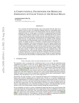 A Computational Framework for Modeling Emergence of Color Vision in the Human Brain