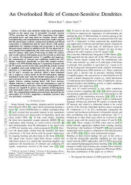 An Overlooked Role of Context-Sensitive Dendrites