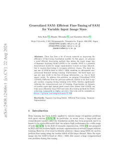 Generalized SAM: Efficient Fine-Tuning of SAM for Variable Input Image
  Sizes