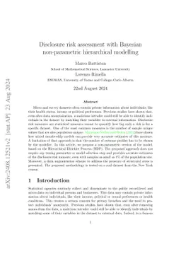 Disclosure risk assessment with Bayesian non-parametric hierarchical
  modelling