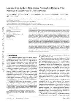 Learning from the few: Fine-grained approach to pediatric wrist
  pathology recognition on a limited dataset