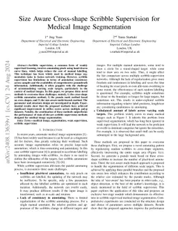 Size Aware Cross-shape Scribble Supervision for Medical Image
  Segmentation