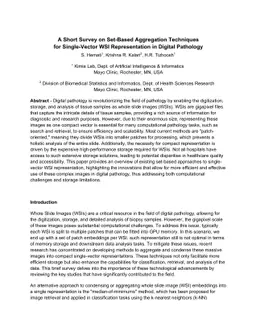 A Short Survey on Set-Based Aggregation Techniques for Single-Vector WSI
  Representation in Digital Pathology