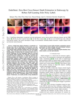 EndoOmni: Zero-Shot Cross-Dataset Depth Estimation in Endoscopy by Robust Self-Learning from Noisy Labels