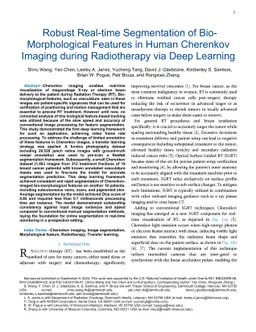 Robust Real-time Segmentation of Bio-Morphological Features in Human
  Cherenkov Imaging during Radiotherapy via Deep Learning