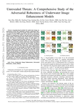 Unrevealed Threats: A Comprehensive Study of the Adversarial Robustness
  of Underwater Image Enhancement Models