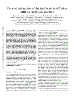 Detailed delineation of the fetal brain in diffusion MRI via multi-task
  learning
