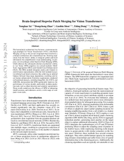 Brain-Inspired Stepwise Patch Merging for Vision Transformers