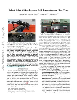 Robust Robot Walker: Learning Agile Locomotion over Tiny Traps