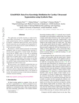 EchoDFKD: Data-Free Knowledge Distillation for Cardiac Ultrasound
  Segmentation using Synthetic Data