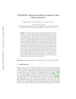 SURGIVID: Annotation-Efficient Surgical Video Object Discovery