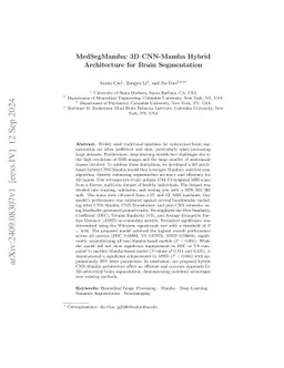 MedSegMamba: 3D CNN-Mamba Hybrid Architecture for Brain Segmentation