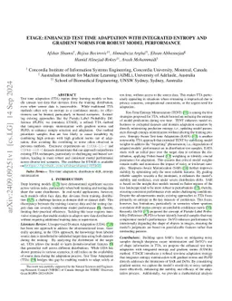 ETAGE: Enhanced Test Time Adaptation with Integrated Entropy and
  Gradient Norms for Robust Model Performance